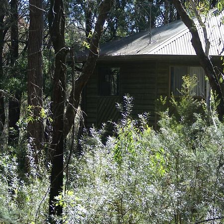 Twin Falls Bush Cottages Fitzroy Falls エクステリア 写真