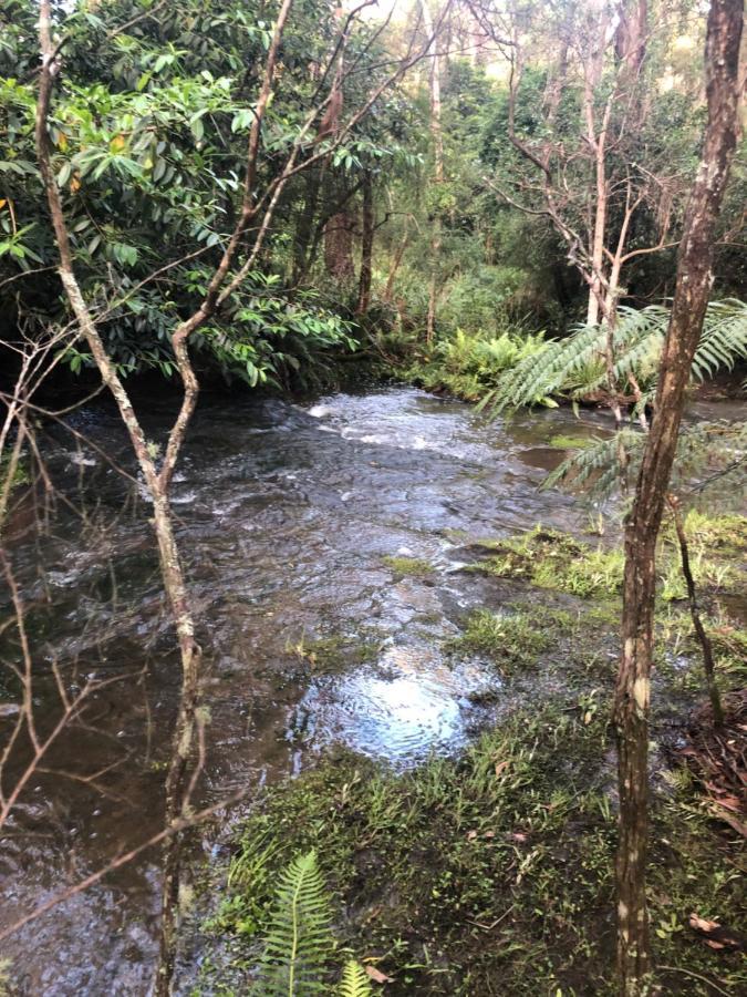 Twin Falls Bush Cottages Fitzroy Falls エクステリア 写真