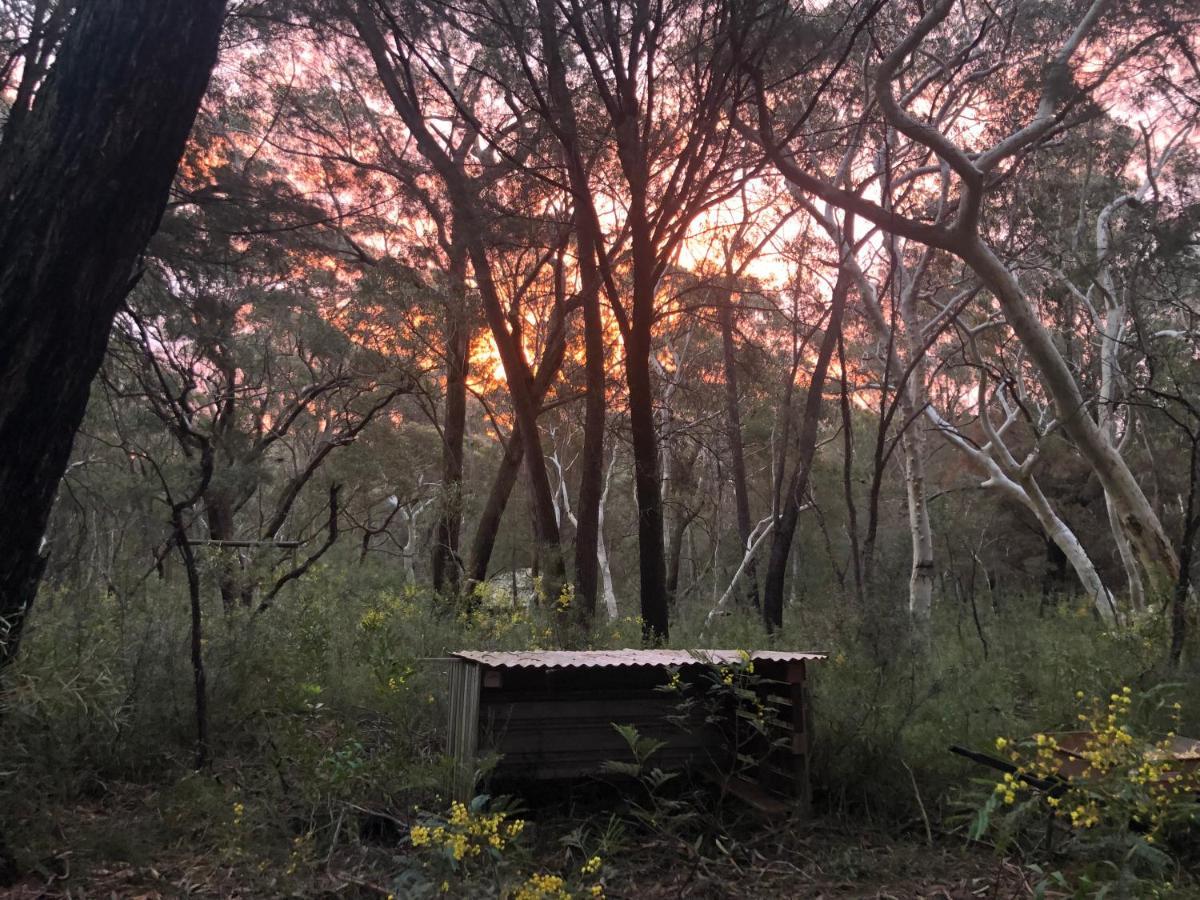Twin Falls Bush Cottages Fitzroy Falls エクステリア 写真
