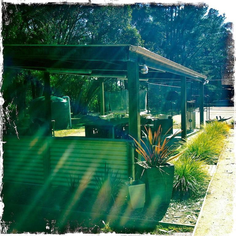 Twin Falls Bush Cottages Fitzroy Falls 部屋 写真