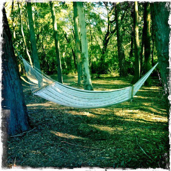 Twin Falls Bush Cottages Fitzroy Falls 部屋 写真