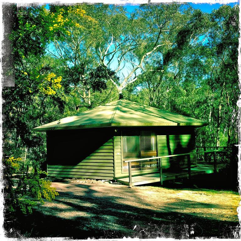 Twin Falls Bush Cottages Fitzroy Falls 部屋 写真