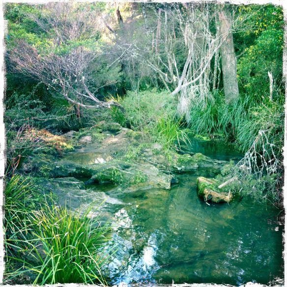 Twin Falls Bush Cottages Fitzroy Falls 部屋 写真