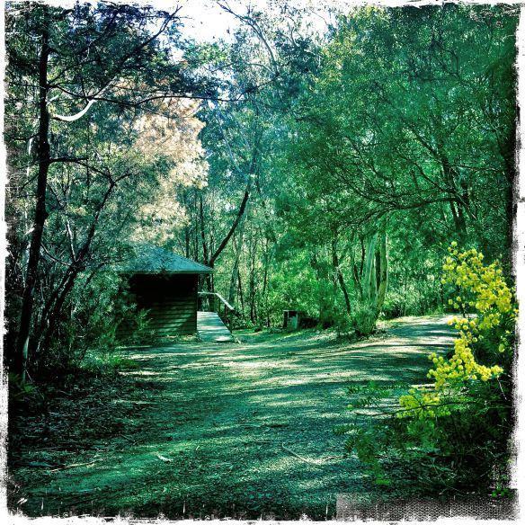 Twin Falls Bush Cottages Fitzroy Falls 部屋 写真