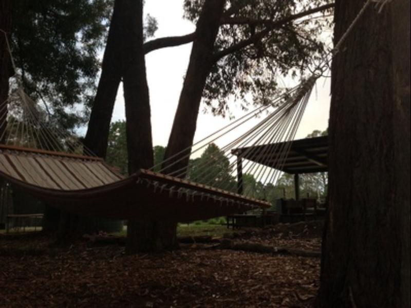 Twin Falls Bush Cottages Fitzroy Falls エクステリア 写真